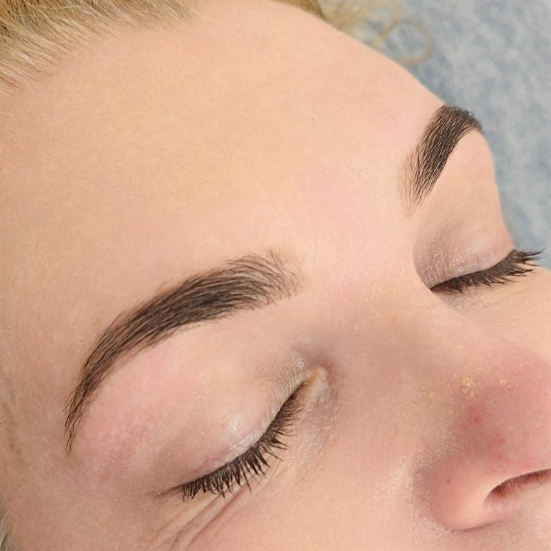 Brows — Sculpt, Dye & Lamination at Evarin