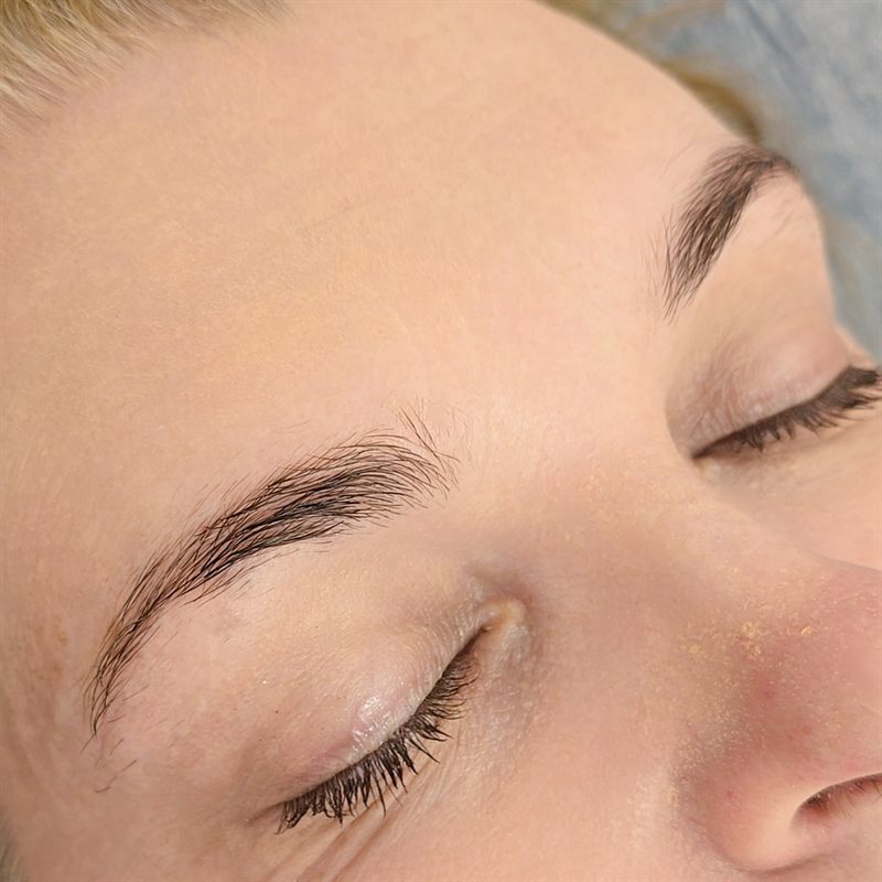 Before — Brow Sculpt + Hybrid Dye
