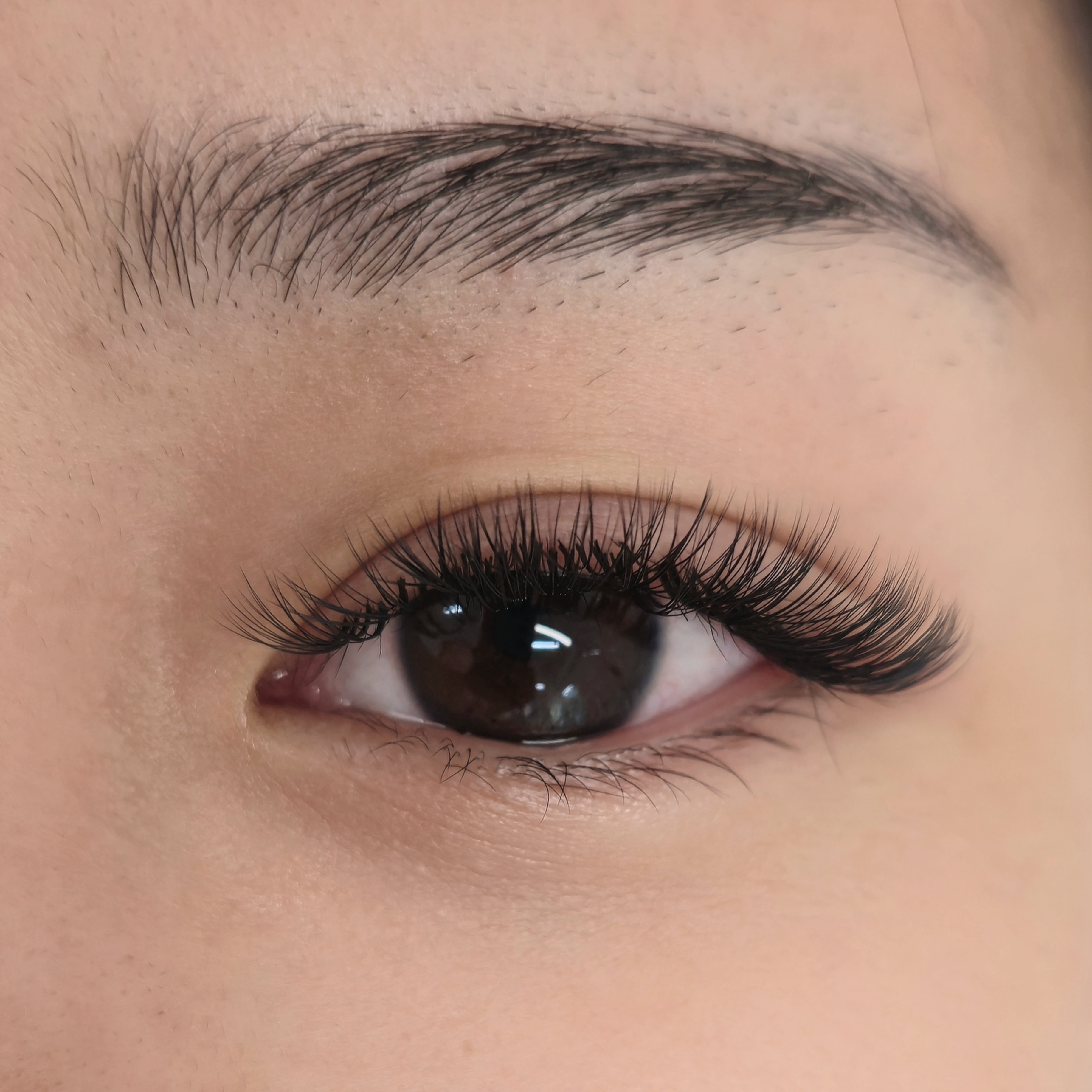 A finished lash extension result at Evarin Lash & Beauty